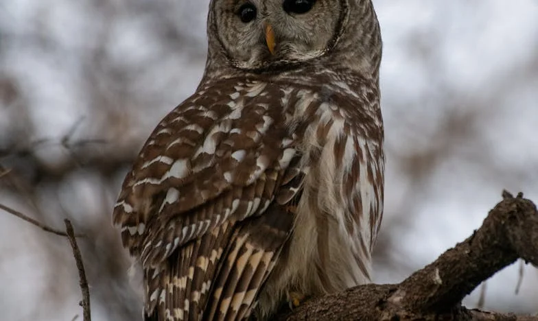 Hitem próbája: Egy családi vihar közepén