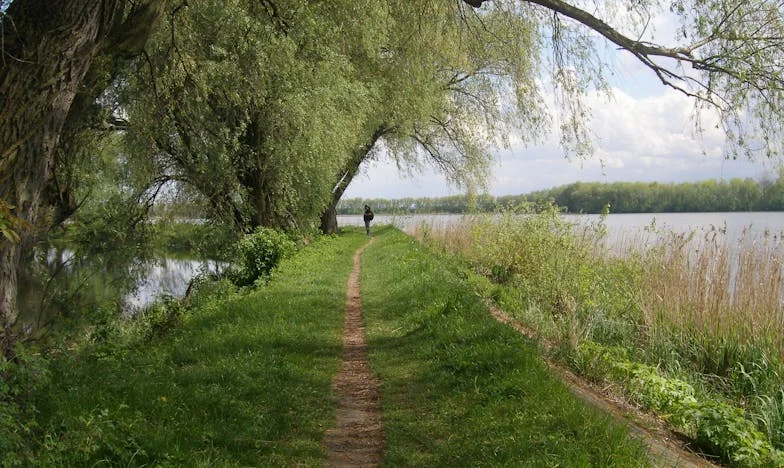 Kétszer összetört szív: Hogyan hihettem az édesanyámnak?