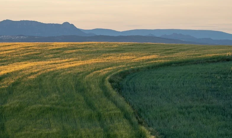 Nem minden az, aminek látszik: Egy vidéki tanítónő vallomása