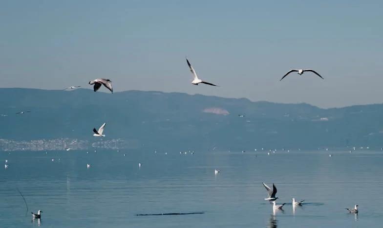 Összetört álmok otthonában: Egy hazatérés, ami nem lett hazatérés