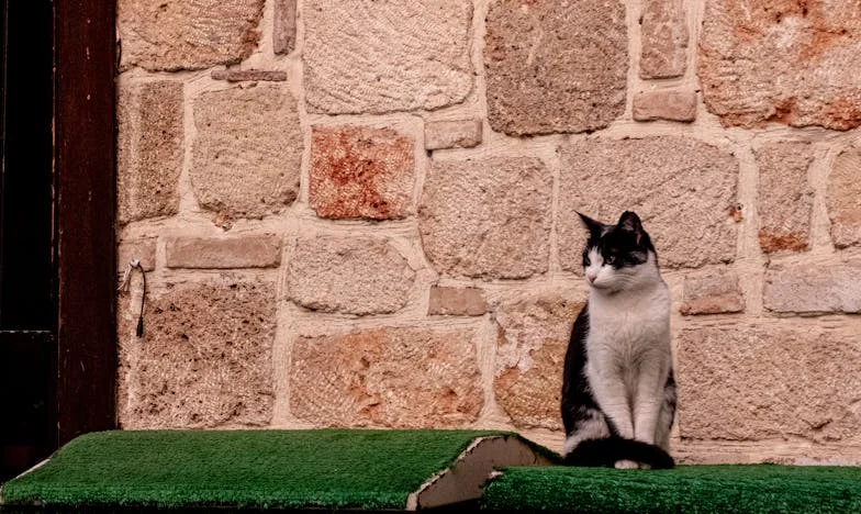 Tizenkét év csend után: Amikor a múlt újra kopogtat