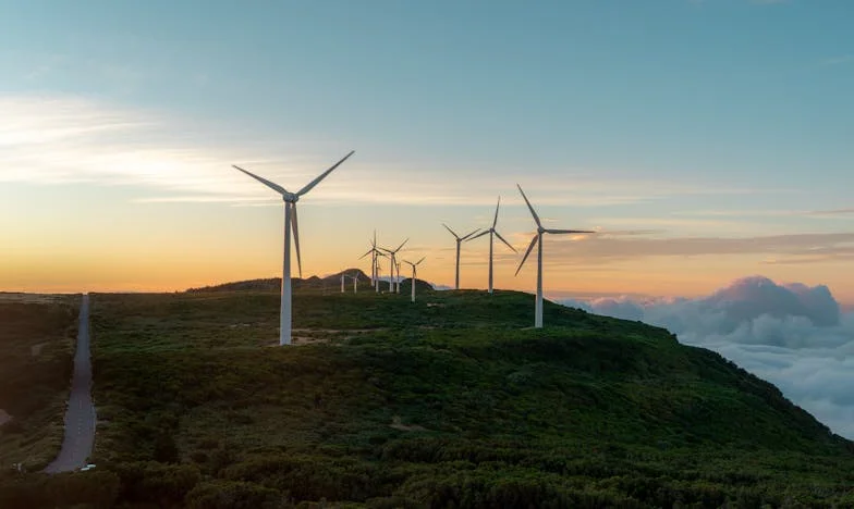 A gyerekeink ki akartak tenni minket a saját házunkból: Egy árulás története a magyar valóságban
