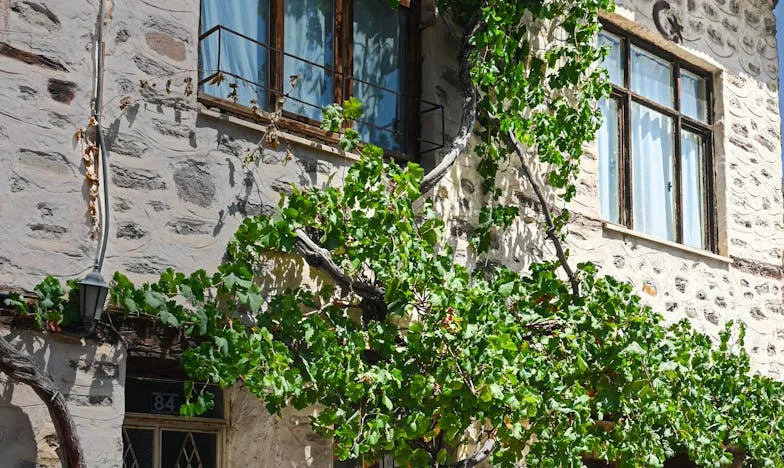 A ház, amit mások álmaiért építettem