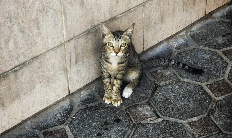 Anyám ellopta a műtétemre félretett pénzt – Meg lehet ezt bocsátani?