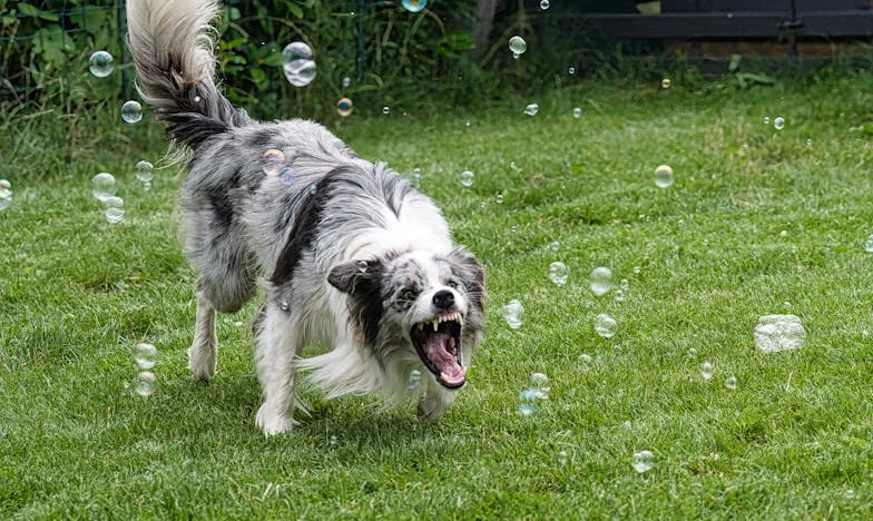 Anyám könnyei között: Hogyan választottam a saját utamat