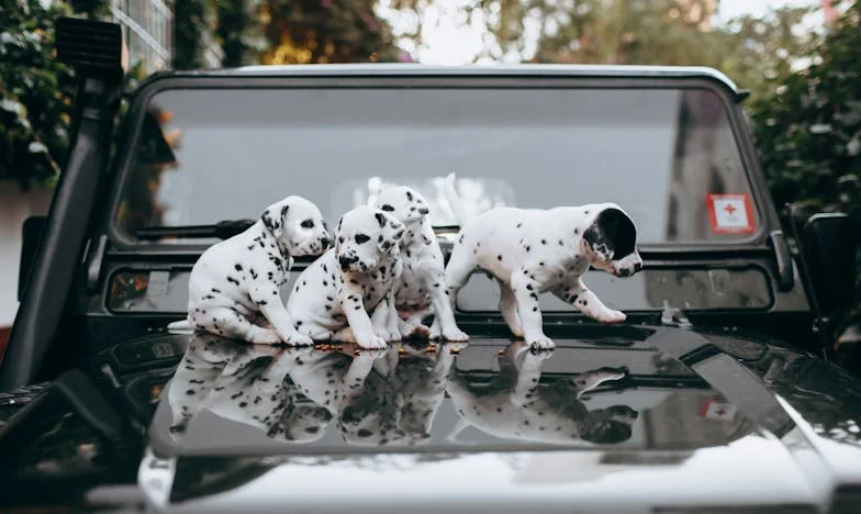 Árnyék a saját otthonomban: Egy anya harca a láthatóságért