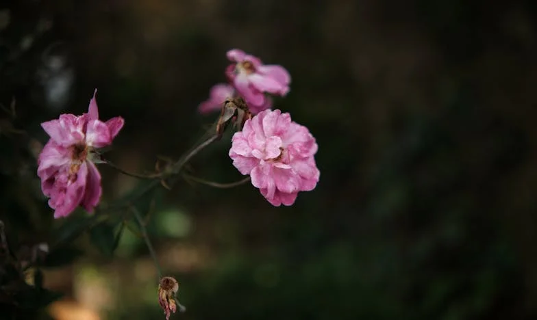 Csendben égő pénz: Egy házasság ára