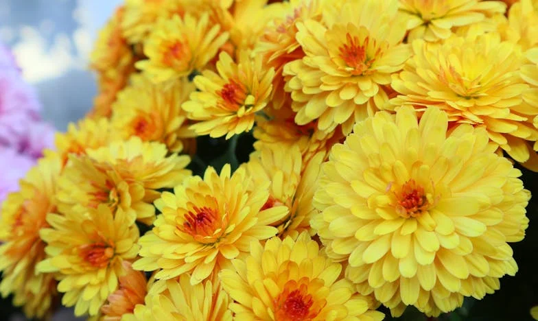 Egy levél, amely mindent megváltoztatott: Hogyan szakadt szét a családom egy tartásdíj-per miatt