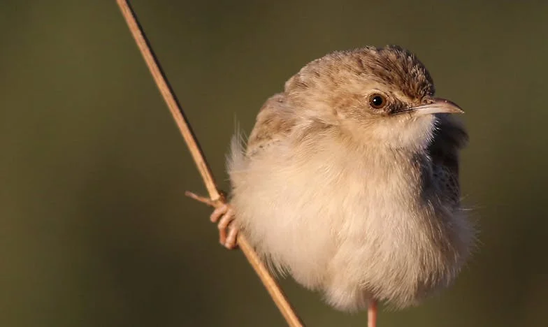 Könnyek Között: Egy Anyalánya Történet a Magányról és Újrakezdésről