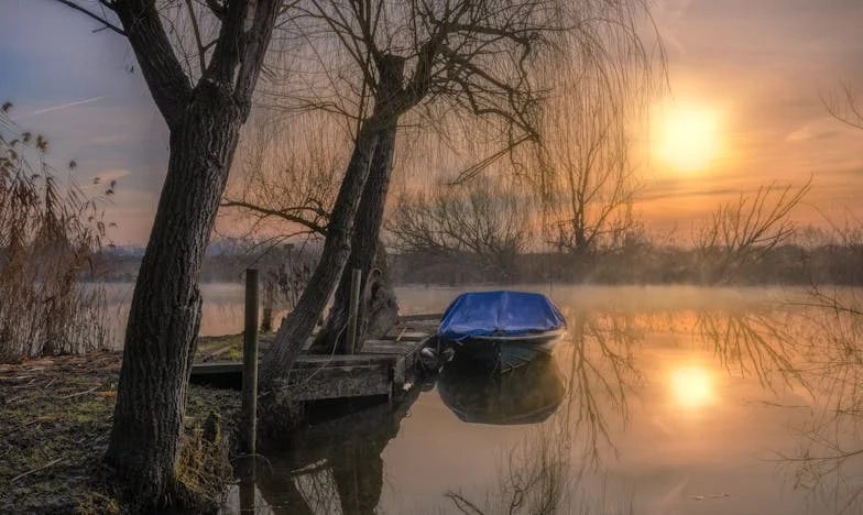 Romok és álmok között: Egy nyár a régi présházban