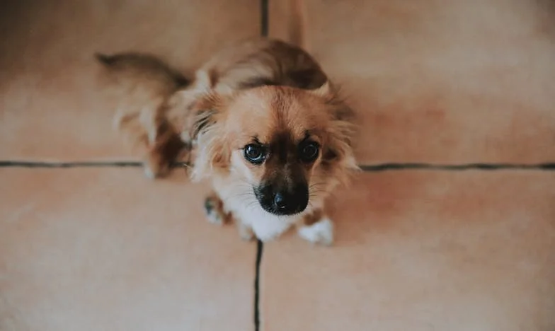 A lányom szégyelli, hogy nem tudom anyagilag támogatni – Egy magyar anya vallomása