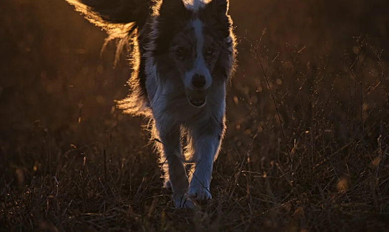 Egy anya helye a fia szívében – Amikor minden megváltozik
