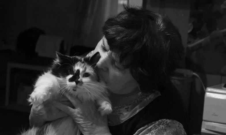 Miért tetted ezt? Hogyan fogunk boldogulni autó nélkül? – Egy anya aggodalma és egy család újrakezdése