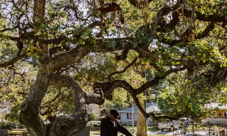 Tizenöt év gyász után: Amikor a férjemet élve láttam viszont a Balaton partján