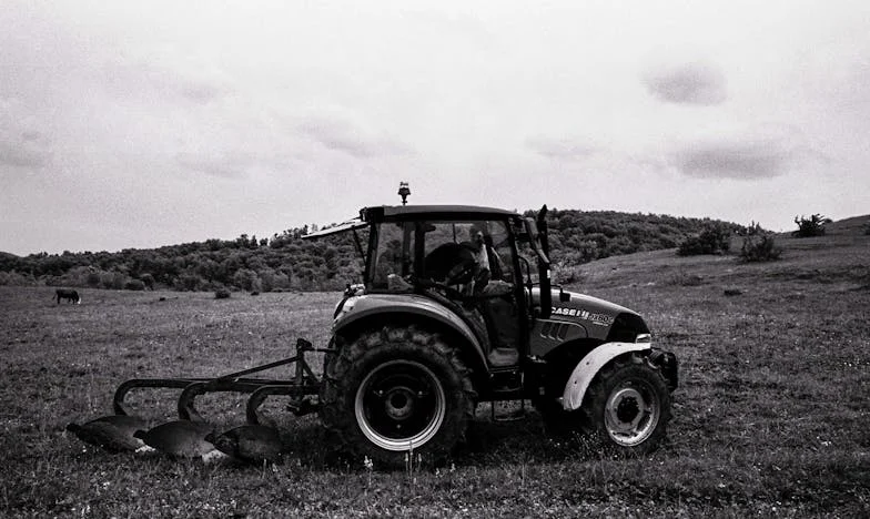 A Falu Legnagyobb Bosszúja: Hogyan Változtatta Meg a Francia Nyelv a Mindennapjaimat – Egy Magyar Falusi Pincérnő Drámai Története