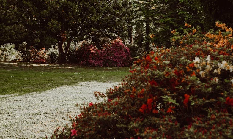 Sosem lehettem igazi nagymama az unokámnak – most pedig én vagyok a hibás? Egy magyar anyós megrázó vallomása