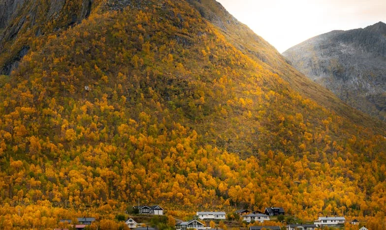 De tas die mijn leven veranderde: een onverwachte ontmoeting na mijn scheiding