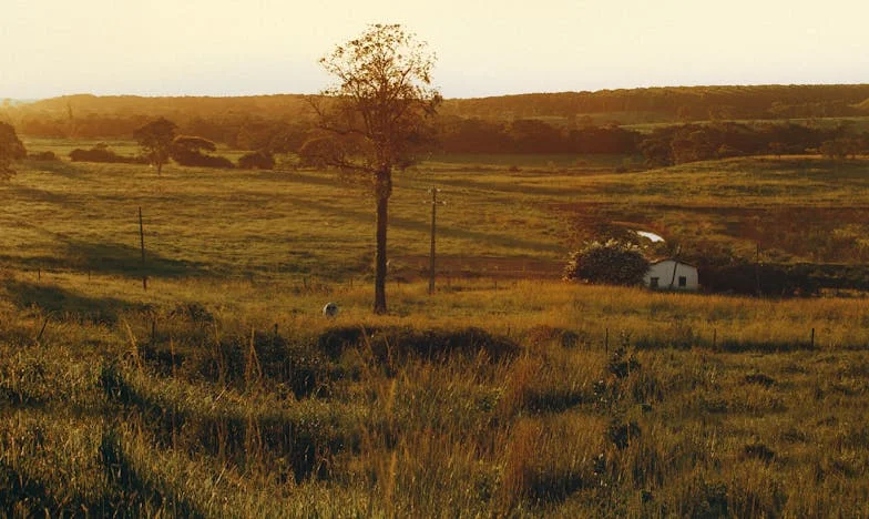 Kerststorm: Geheimen, grenzen en een onverwachte held