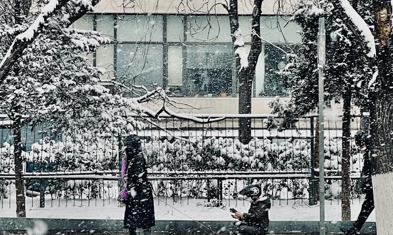 Lodówka to geen kantine! Hoe mijn dochter Zuzia en haar 'vrienden' mijn huis veranderden in een eethuis en mijn geduld op de proef stelden