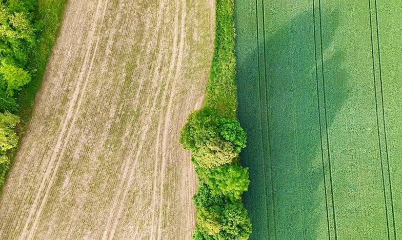 Storm in huis: Het drama van Anna