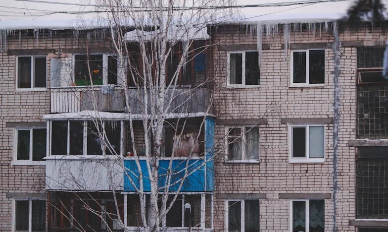 De vrouw die ik mama noemde: een verhaal over Wanda en verloren vertrouwen