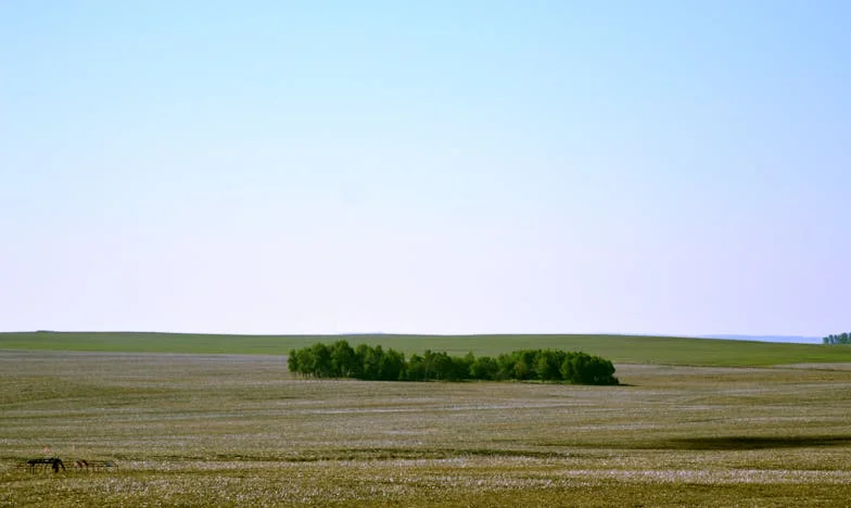Mijn man stal mijn pinpas en nam zijn minnares mee op vakantie – wat er op Schiphol gebeurde, veranderde alles