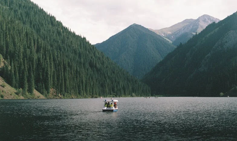 Świnia in de woonkamer ben ik niet – Het verhaal van een diner dat mijn leven veranderde