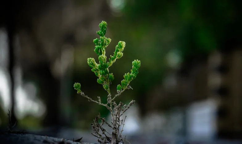 Tussen Stilte en Waarheid: Mijn Verhaal over Opgroeien zonder Vader