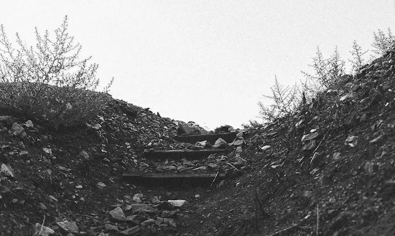 Wanneer je eigen familie je verraadt: De nacht dat ik een vreemde werd in mijn eigen huis