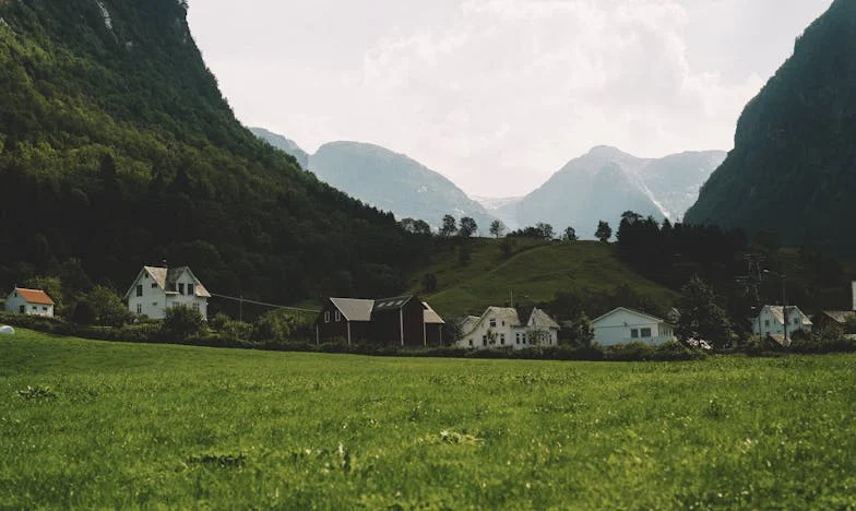 Zeg het me nu! Een leven op het spel tussen hoop en wanhoop