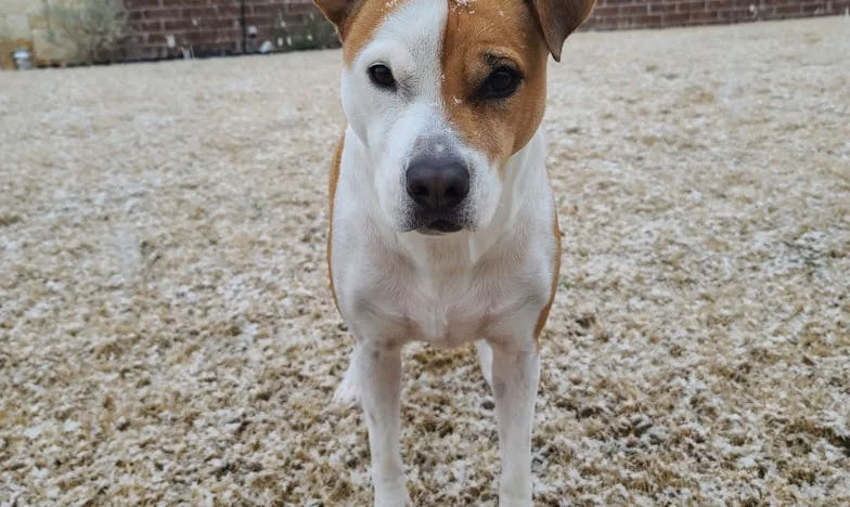 ‘Ge hebt een maand om mijn huis te verlaten!’ – Het verhaal van een schoondochter tussen familieverwachtingen en eigen dromen