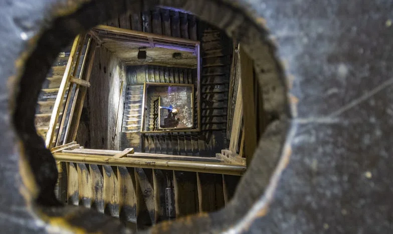 "Ge hebt mijn feest vervangen door... een hond?!" – Hoe de dood van onze viervoeter de waarheid over mijn schoonmoeder blootlegde