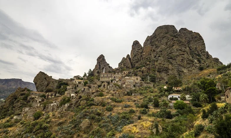 Littekens uit mijn jeugd: een Vlaamse familiegeschiedenis