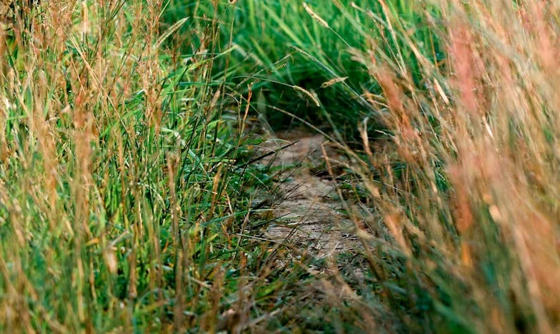 We hebben het huis niet voor hen gekocht – Wanneer familie plots mee intrekt
