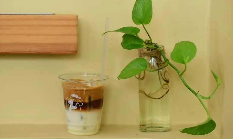 Když mi tchyně volá v pět: Jsem dobrá máma, nebo špatná snacha?