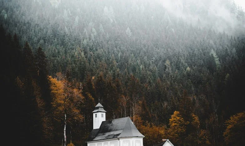 Když tchyně diktuje Vánoce: Proč jsem odmítla péct kapra