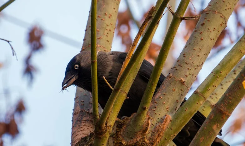 Máchovo jezero: Můj boj o vlastní život mezi příbuznými