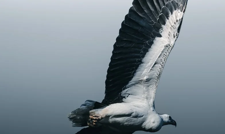 Od chvíle, kdy mi upadla lžíce – Příběh české vdovy, která se učí znovu žít