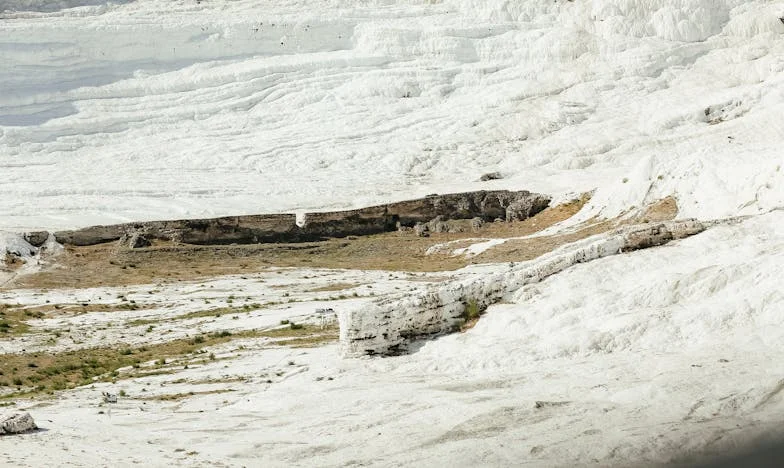 Po smrti otce jsem vyhnala jeho partnerku: Moje rodina mě nenávidí, ale nelituji