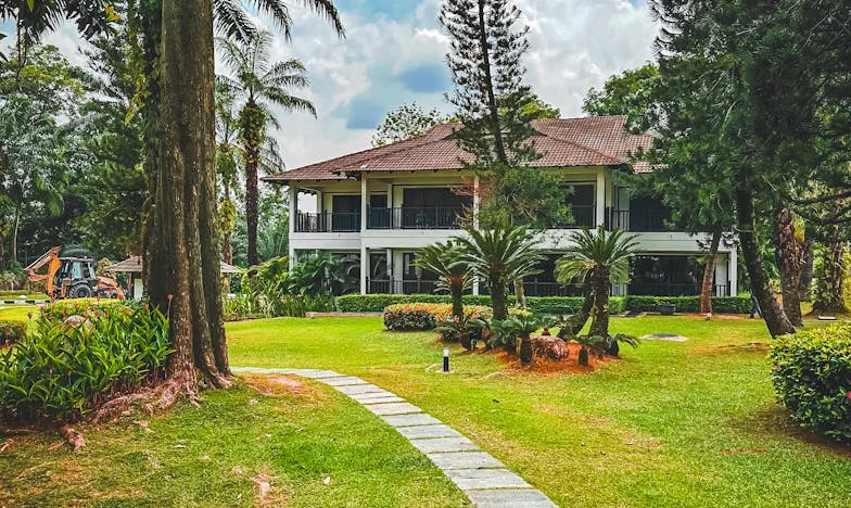 Babičko, promiň, že jsem na tebe zapomněla