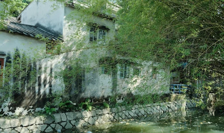 Deset let poté: Když se Julius vrátil z prázdna, můj svět se znovu zhroutil