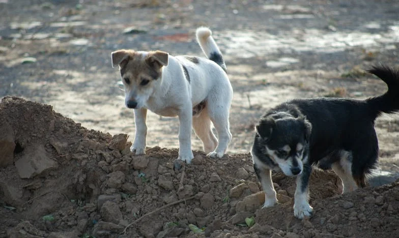 Dvě tváře jednoho dne: Jak jsem porodila dceru v den, kdy mi zemřel manžel