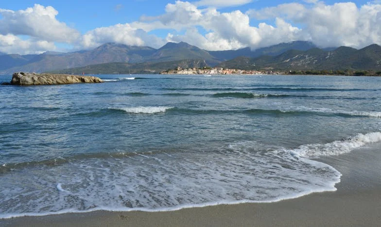 Káva, která rozlila pohár: Příběh jedné tchyně a jedné snachy