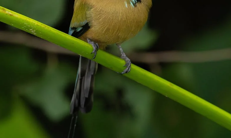 Když hosté nechtějí odejít: Velikonoce, které změnily všechno – Moje rodina, mé hranice, můj život