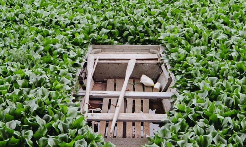 Když mi manžel přivedl milenku domů, zatímco naše dcera bojovala o život