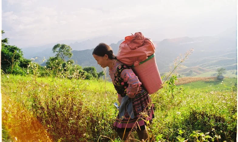 Když moje tchyně ovládla náš domov: Boj o hranice a rodinný klid