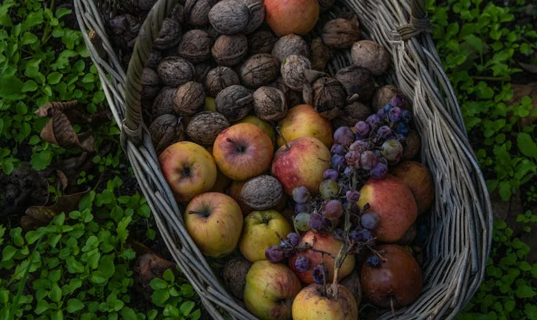 Když přátelství shoří na grilu: Příběh o ztracené důvěře a hranicích tolerance