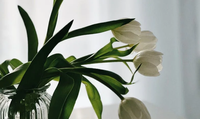 Když se máma rozhodla podnikat: Rodinný podnik, který nás málem roztrhal