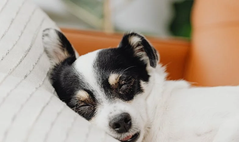 Když se přátelství otřese v základech: Příběh jedné kavárny a dvou srdcí