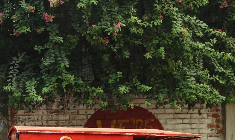 Když svědomí nestačí: Příběh matky, která ztratila syna kvůli vlastní rodině